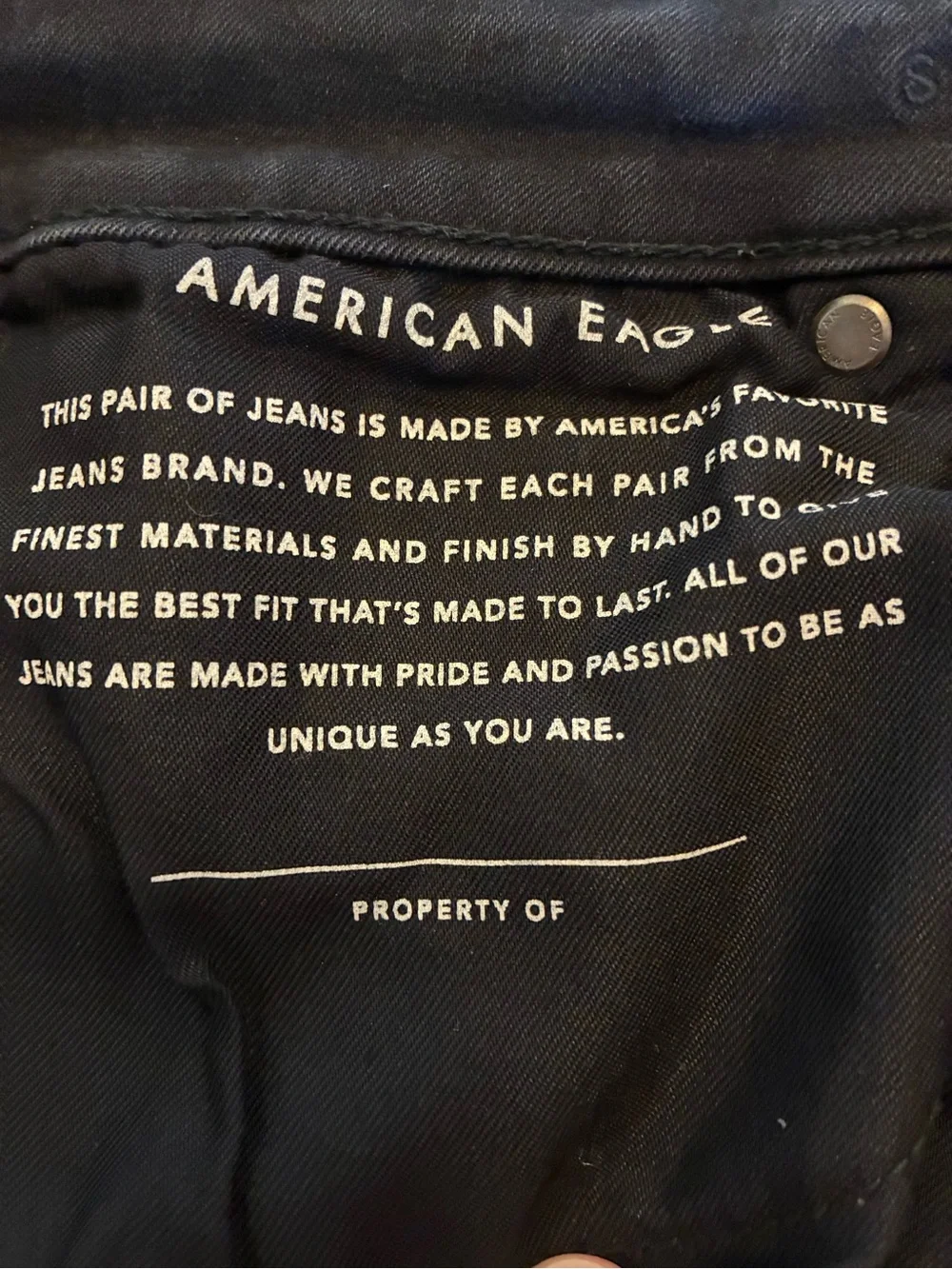 American Eagle Outfitters Black Distressed  Jeans